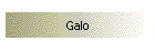 Galo
