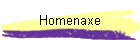 Homenaxe