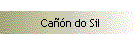 Ca��n do Sil