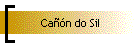 Ca��n do Sil