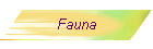 Fauna