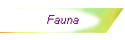 Fauna