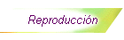 Reproducci�n