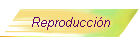 Reproducci�n