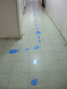 DSCF8588