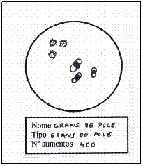 Cuadro de texto: &nbsp;
