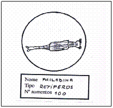 Cuadro de texto: &nbsp;
