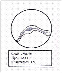 Cuadro de texto: &nbsp;
