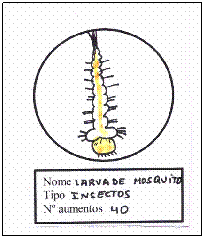 Cuadro de texto: &nbsp;
