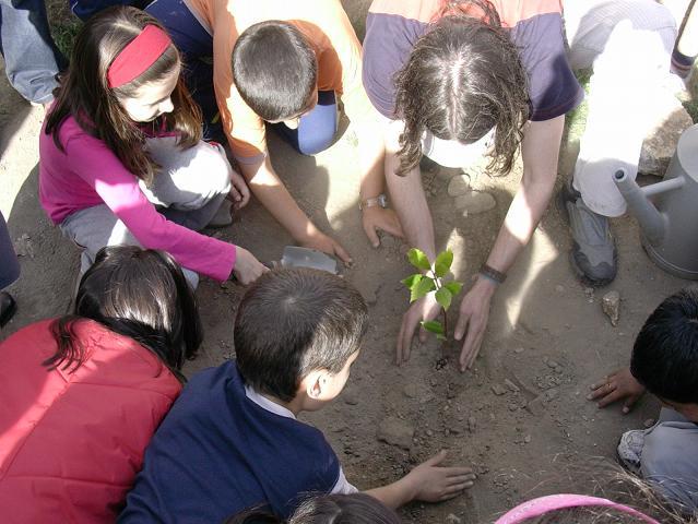 prantación no día forestal mundial