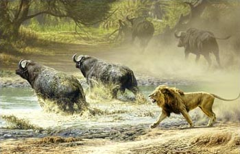 A supervivencia do m&aacute;is apto