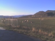 paisaxe1.jpg (142623 bytes)