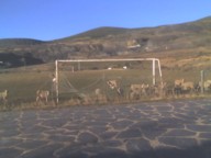 paisaxe2.jpg (142623 bytes)