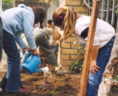 A primeira auga para a nova planta