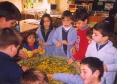 Os m�is cativos traballando