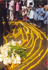 Preparados para a montaxe