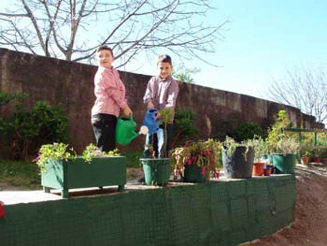 2_primaria