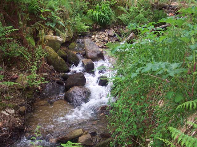 R&iacute;o Eifonso