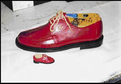  O zapato mais pequeno do mundo
