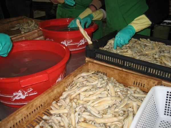 Pulsar para ver a imaxen orixinal