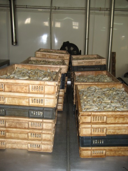 Pulsar para ver a imaxen orixinal