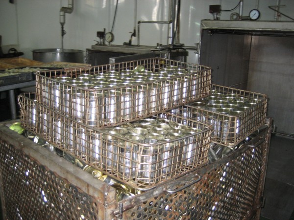 Pulsar para ver a imaxen orixinal