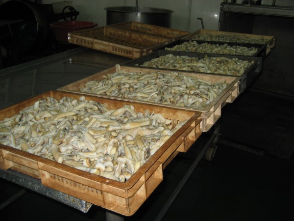 Pulsar para ver a imaxen orixinal