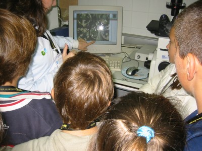 Pulsar para ver a imaxen orixinal