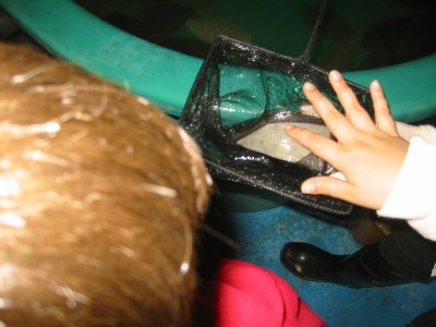 Pulsar para ver a imaxen orixinal