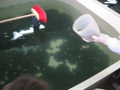 Pulsar para ver a imaxen orixinal