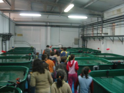 Pulsar para ver a imaxen orixinal