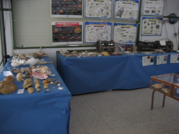 Pulsar para ver a imaxen orixinal