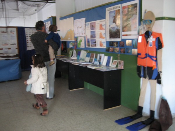 Pulsar para ver a imaxen orixinal