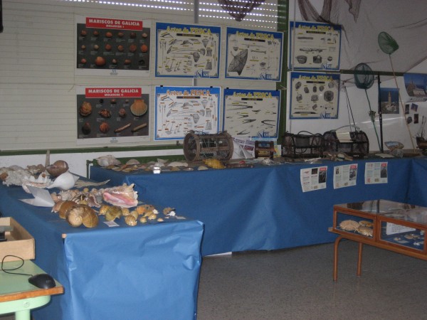 Pulsar para ver a imaxen orixinal