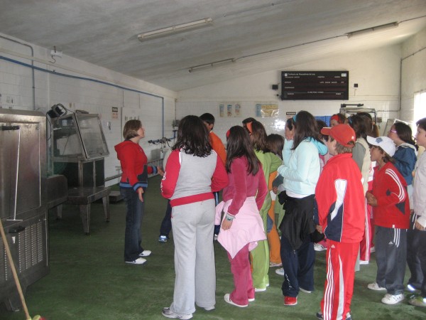 Pulsar para ver a imaxen orixinal