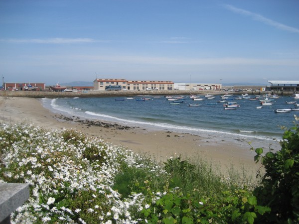 Pulsar para ver a imaxen orixinal