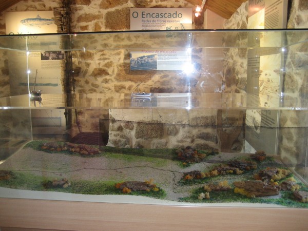 Pulsar para ver a imaxen orixinal