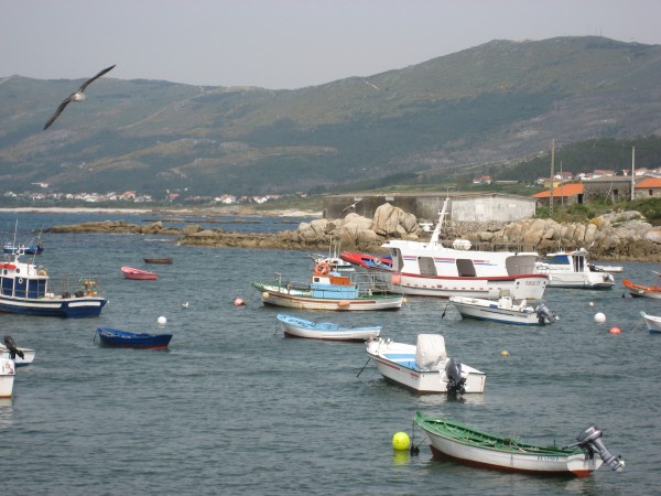 Pulsar para ver a imaxen orixinal