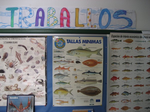 Pulsar para ver a imaxen orixinal