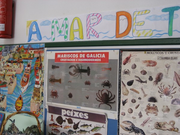 Pulsar para ver a imaxen orixinal