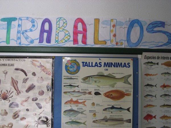 Pulsar para ver a imaxen orixinal