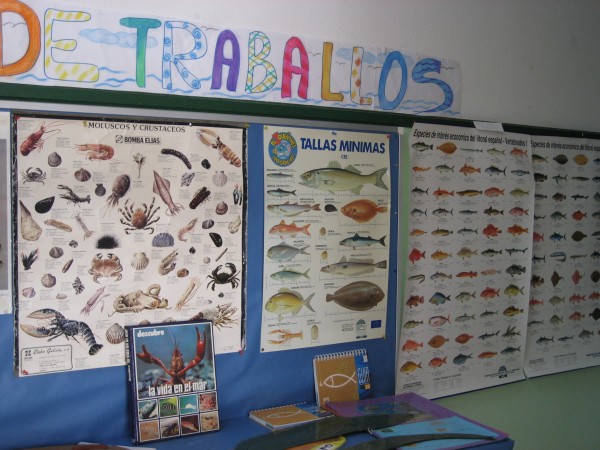 Pulsar para ver a imaxen orixinal