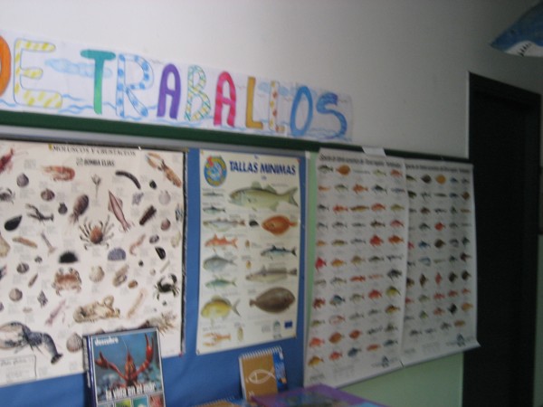 Pulsar para ver a imaxen orixinal