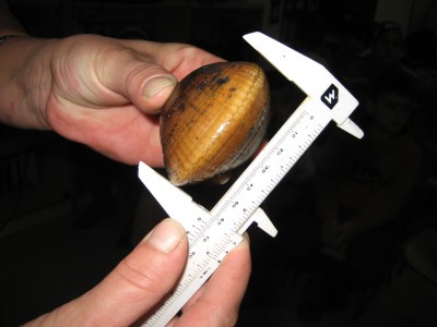 Pulsar para ver a imaxen orixinal