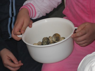 Pulsar para ver a imaxen orixinal