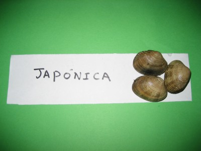 Pulsar para ver a imaxen orixinal