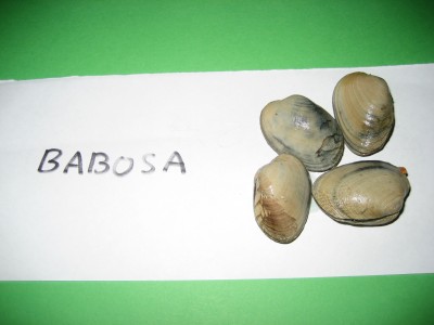 Pulsar para ver a imaxen orixinal