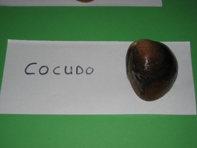 Pulsar para ver a imaxen orixinal