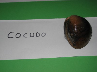 Pulsar para ver a imaxen orixinal