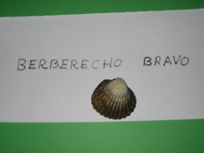 Pulsar para ver a imaxen orixinal